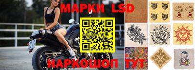 прущие грибы Новозыбков