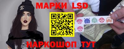 прущие грибы Новозыбков