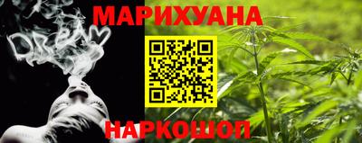 прущие грибы Новозыбков