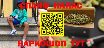 прущие грибы Новозыбков