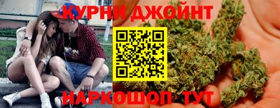прущие грибы Новозыбков