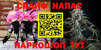 прущие грибы Новозыбков