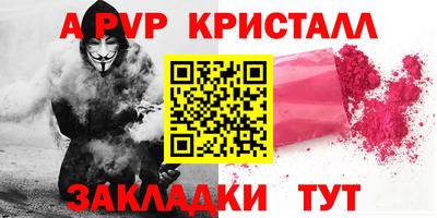 прущие грибы Новозыбков