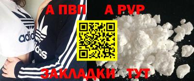прущие грибы Новозыбков